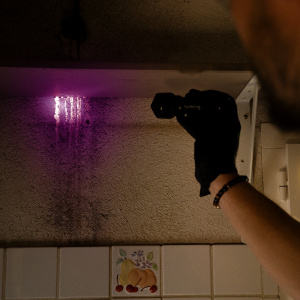 UV MAX Purple Kit und UV Lampe - Taschenlampe - Hohe Präzision - 365nm